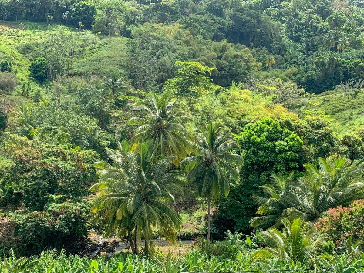 Les Bungalows de la Sucrerie Le François Extérieur photo